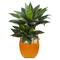 3ft. Double Agave Succulent Plant in Orange Planter